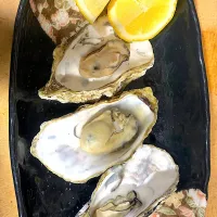 ひなせの牡蠣🦪💕|msさん