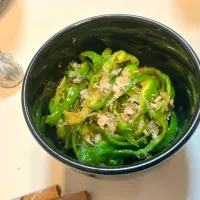 ピーマン🫑の胡麻油和え|Takeshi  Nagakiさん