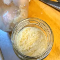 発酵生姜|morimi32さん