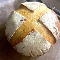 キタノカオリ🌾ブール| chieko ♪さん