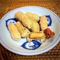 ピーナッツ🥜|Noriyuki Saitoさん