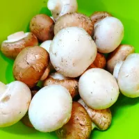 マルシェで買ってきたマッシュルーム|はるみさん