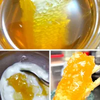 コムハニー（巣蜜）|mamedaifukuさん