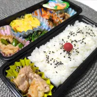 今日のお弁当|鈴木さとしさん