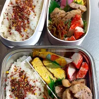 今日のお弁当|バジルさん