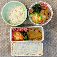 娘弁当| ゆーこ。さん