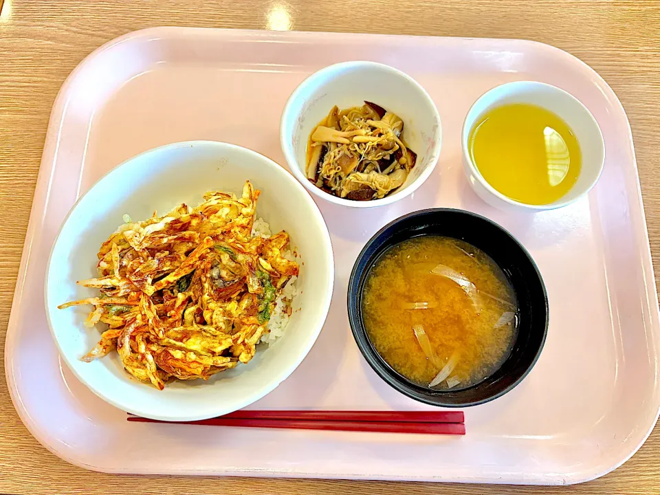 旬野菜のかき揚げ丼、きのことじゃこの和風マリネ、味噌汁(玉ねぎ、さつまいも)|syasyo9_biyoriさん