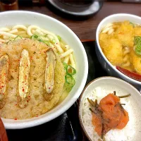 博多うどん屋|じゅんさんさん