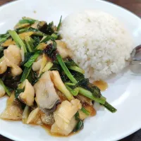 午餐🍚姜葱鱼片饭🐟🌿😋|🍒lynnlicious🍒さん