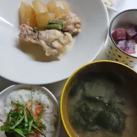 ☆夕飯☆大根と手羽元煮、鮪トロロ、ゆず大根、味噌汁、ごはん鮭| ｼｮｺﾗさん