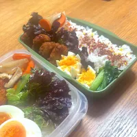今日のお弁当