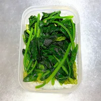 12/16  自分弁当|なかちゃんたまごさん