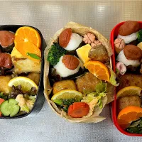 #毎日のお弁当記録。みかん沢山もらったので、彩りに飾りました|じゅんちゃんさん