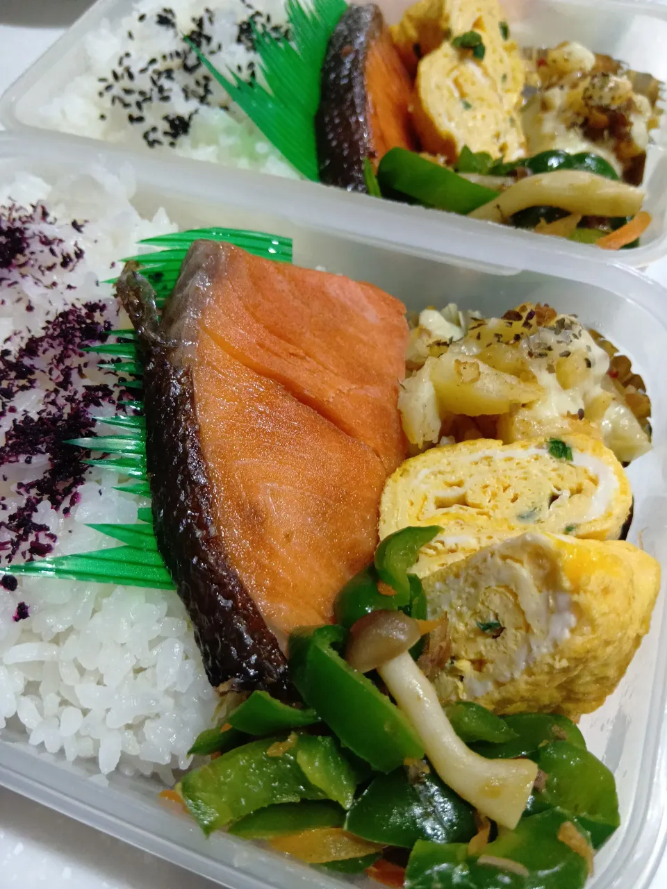 ピーマン炒め鮭弁当|yayoi.Kさん