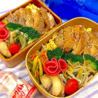 今日の夫婦弁⁽⁽ ◟(灬 ˊωˋ 灬)◞ ⁾⁾💕|桃実さん