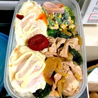 旦那ちゃん弁当╰(*´︶`*)╯♡|ちゃびきゅさん