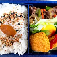 牛肉とピーマン、にんじん、玉ねぎの焼き肉炒め|pepiさん