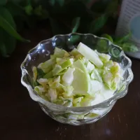 グラニースミスとキャベツのコールスロー|seiko_funfoodさん