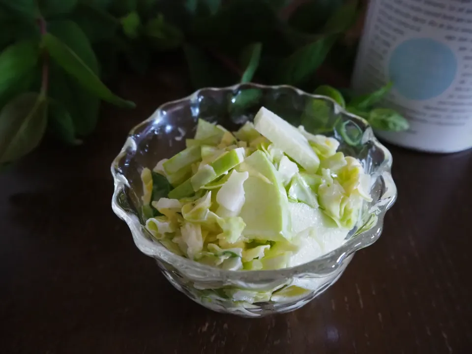 グラニースミスとキャベツのコールスロー|seiko_funfoodさん