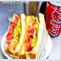 🥪 🥓🥬🍅BLT＋OECサンド🧅🐣🧀 🥪