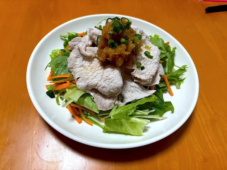 豚しゃぶサラダ🐷|めっちいさん