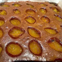 今日のお仕事（R7.12.16）|え〜かさん