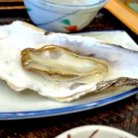 生牡蠣|もうちゃんさん