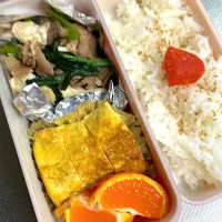豆腐炒め弁当|ぱんださん