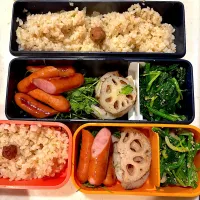 今日のお弁当| Victoryageさん