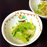 🦑聖水の供☘️| にゃあ（芸名）さん