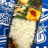 12月4日 しばらく お休み弁当🍱|sakuramochiさん