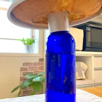 レモン🍋シフォン🎵