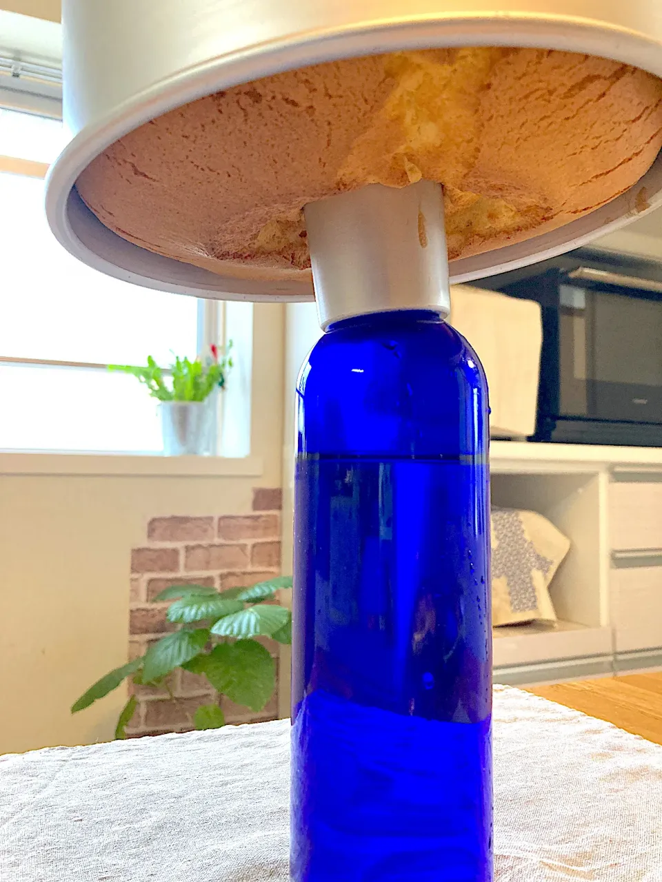 レモン🍋シフォン🎵|さくたえさん