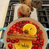 2025/12/16   ホット・アップルサイダー (りんごの使い途を求めて番外編２)　Mulled Hot Apple Cider|21 Boys & 野鳥さん