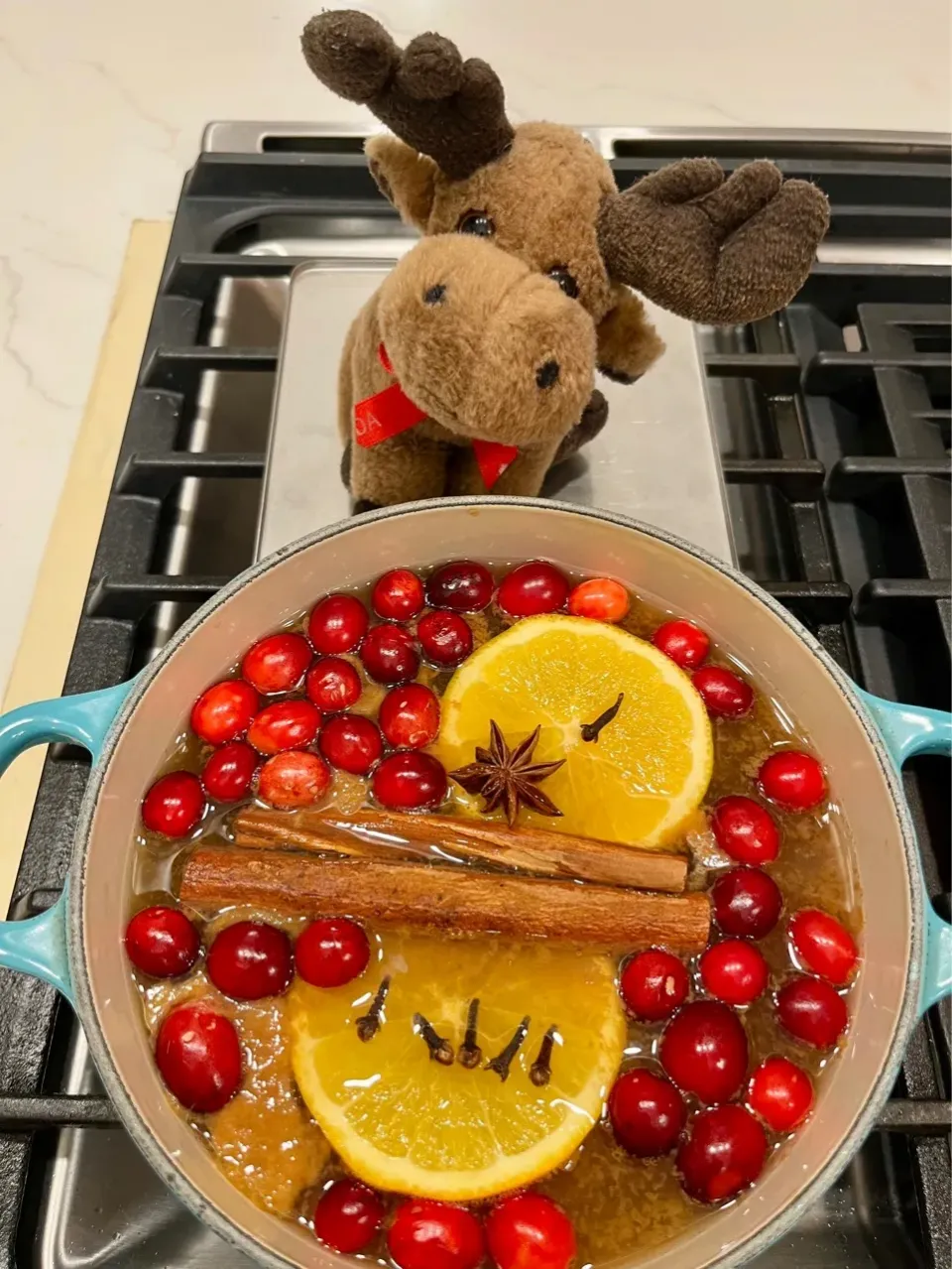 2025/12/16   ホット・アップルサイダー (りんごの使い途を求めて番外編２)　Mulled Hot Apple Cider|21 Boys & 野鳥さん