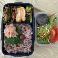 五穀米、焼肉&鮭フレーク弁当