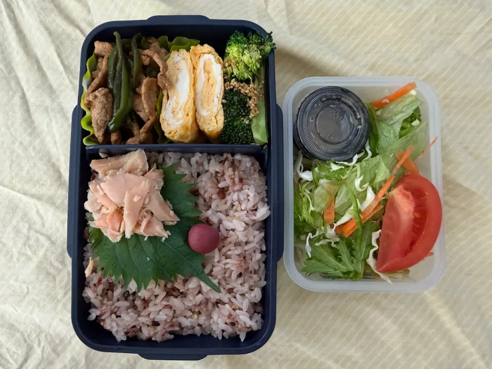 五穀米、焼肉&鮭フレーク弁当|ひぐっちさん