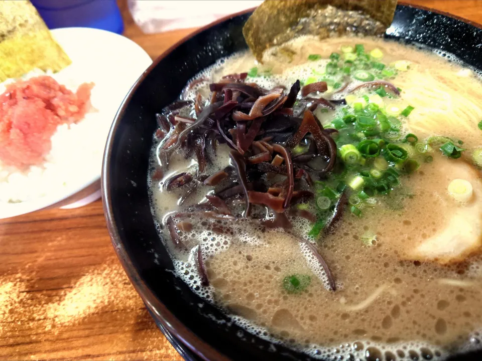 【2004年創業】 
博多長浜らーめん ぼたん 大塚本店
ラーメン (麺の固さ：やわ、950円) 
＋明太ごはん (少なめ、350円) 
@大塚2分 
(JR板橋駅から徒歩22分)
25338
〈醤167塩55噌󠄀25タ11昆9出16 F18冷27混5つ3焼1ポ1〉|大脇さん