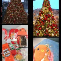 🎄🍭🍫🍩🍪|🍁さん