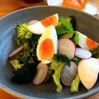 サラダ|おさかなさん