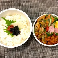 高校生息子のお弁当🍱 ミートボールと春巻き弁当🍱|Snow10さん