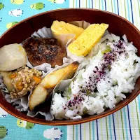 焼きサバ、ハンバーグ、サトイモそぼろ、玉子焼き🍱|なお🅿️さん