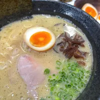 鶏白湯拉麺|saturnさん