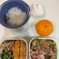 12月20日のお弁当🍱| momotoemiさん