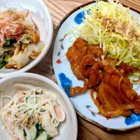 ポークチャップ(シニア食)|りょうさん