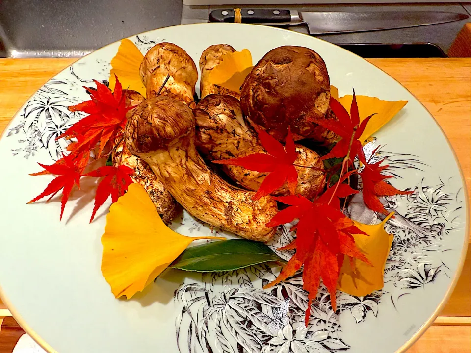 松茸|もうちゃんさん