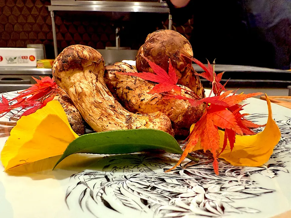 松茸|もうちゃんさん