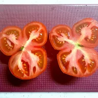 真っ二つに切ったトマト|こっぷさん