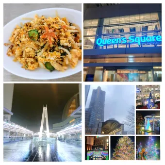 Snapdishの人気料理写真:お出かけ記録と、余ったサラダの卵炒め(*´艸`)