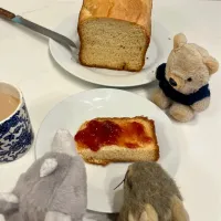 2025/12/20   初めてのブリオッシュ|21 Boys & 野鳥さん